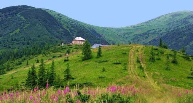 보로크타 Говерлянка 빌라 외부 사진